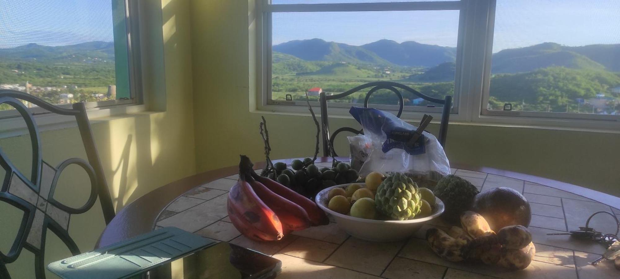 Zeus Estate Guesthouse St. John's Экстерьер фото